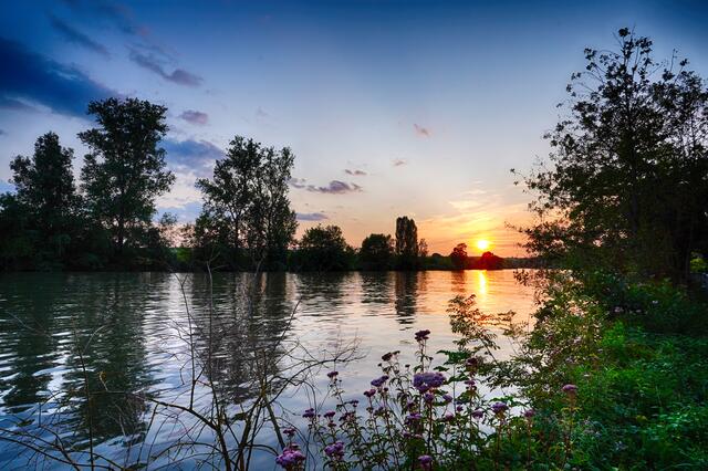 Abendstimmung am Neckartalradweg zwischen Lauffen und Horkheim