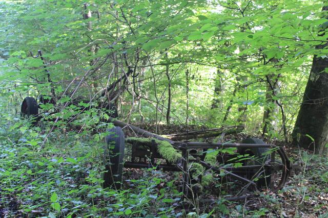 Kpl. vergessener Hänger am Wanderweg Steinerner Tisch