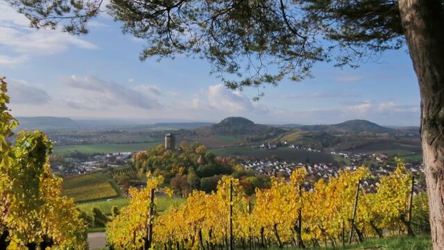 Blick über Beilstein