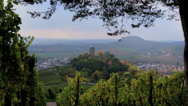 Beilstein mit Burg