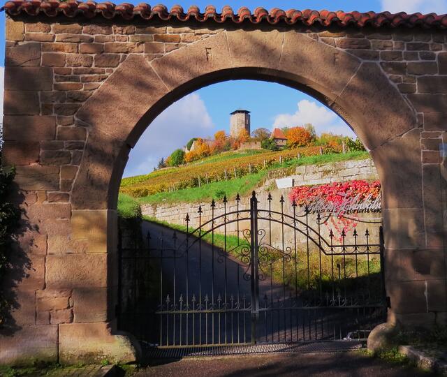 Blick zur Beilsteiner Burg