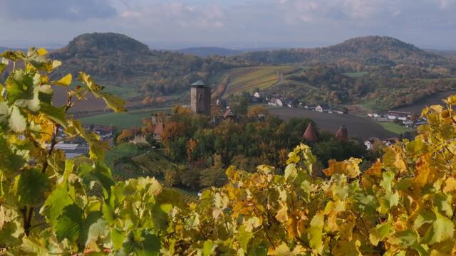 Blick über Beilstein