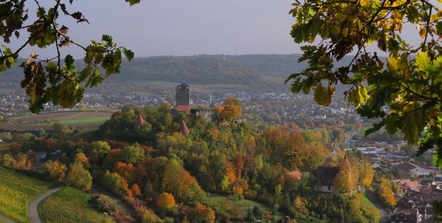 Blick zur Beilsteiner Burg