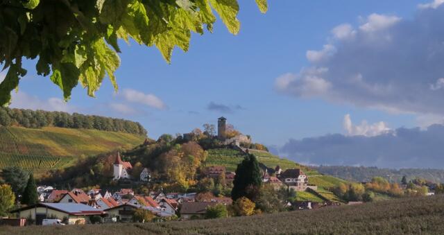 Blick zur Beisteiner Burg