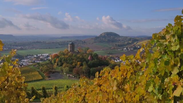 Blick über Beilstein