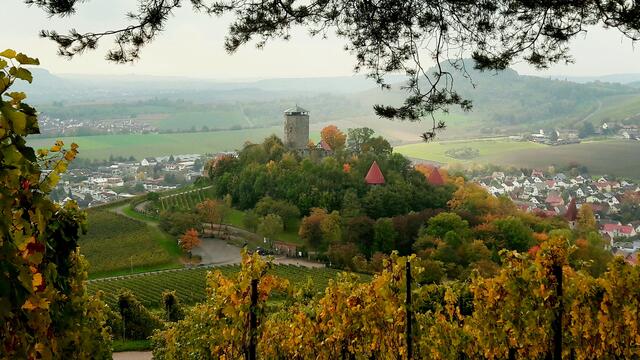 Blick über Beilstein mit Burg