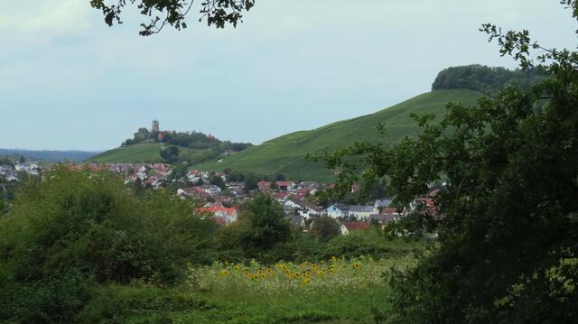 Blick zur Beilsteiner Burg