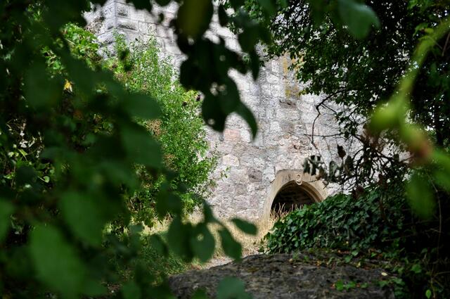 Burgruine Helfenberg