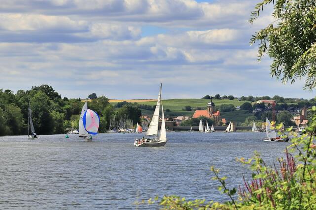 Sommer in Lauffen