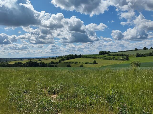 Herrliche Fernsicht bei Allfeld