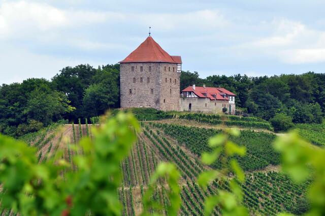 Burg Wildeck | Foto: Daniela Somers