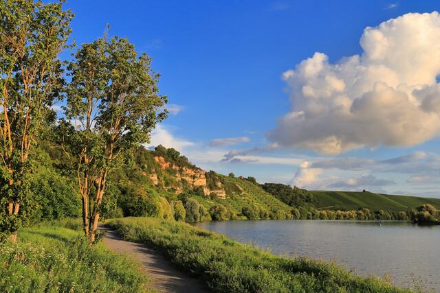 Abendstimmung am Neckar bei Lauffen