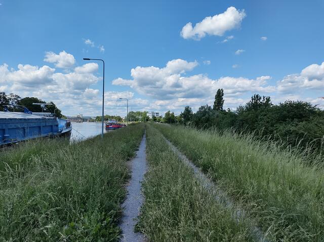 Radweg auf dem Damm?