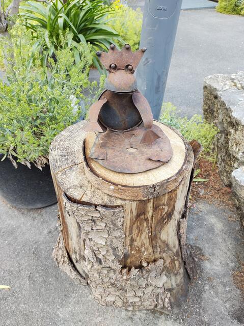 Der Froschkönig