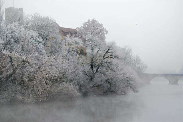 Frostmorgen am Neckar