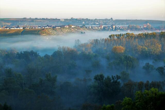 Morgennebel über dem Seeloch