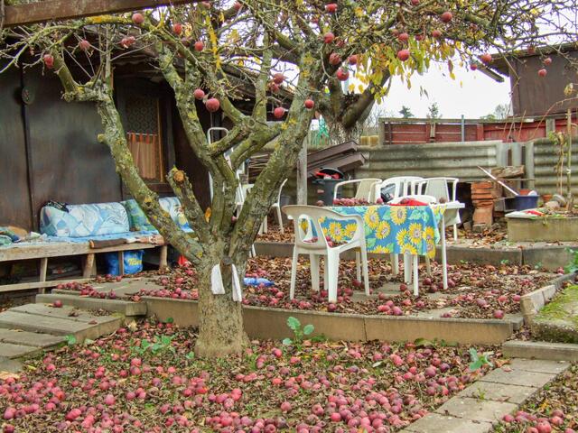 Garten bei Amorbach im Herbst