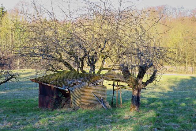 Hütte bei Neckarsulm1
