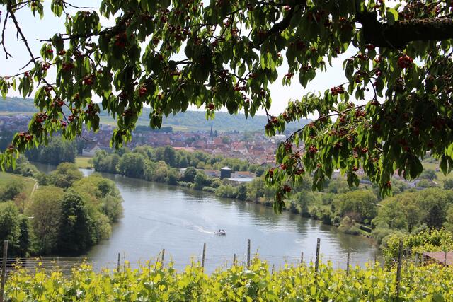 Blick auf Kirchheim a. N.