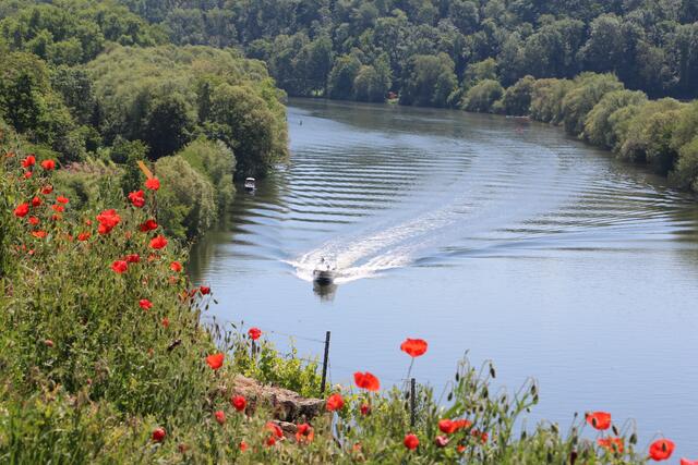 Auf dem Neckar bei Kirchheim