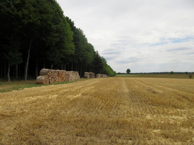 Die Weite des Baulands zeigt sich hier über den Stoppelfeldern