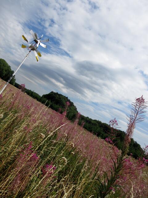 Natur und Kultur im Einklang