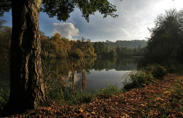 Im Herbst beim Seeloch