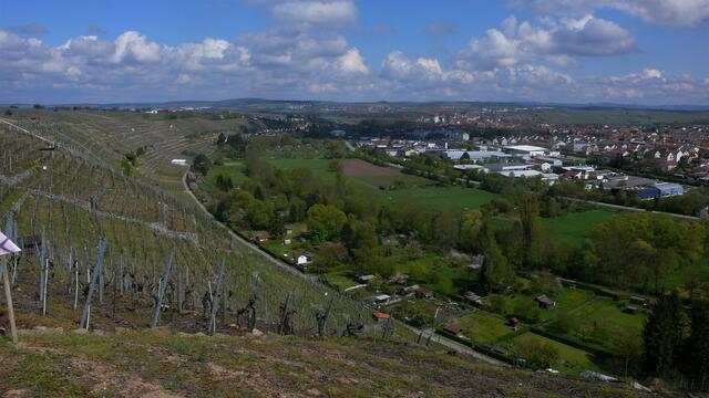 Blick vom Geigersberg
