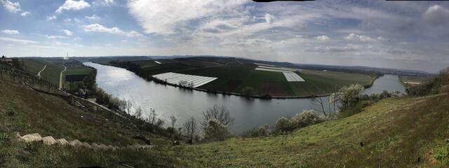 Der Neckar vom Krappenfelsen aus.