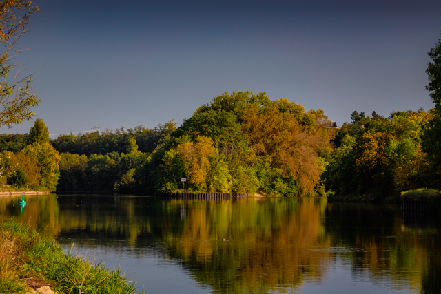 Neckar..