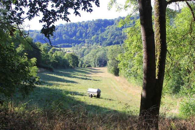 toller Ausblick