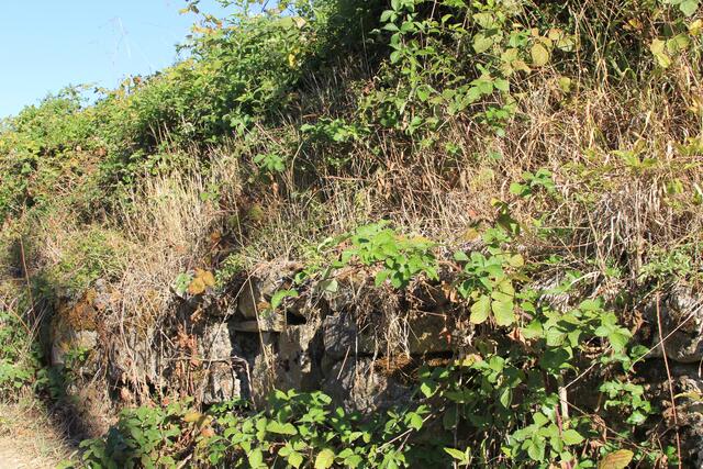 schöne Mauer