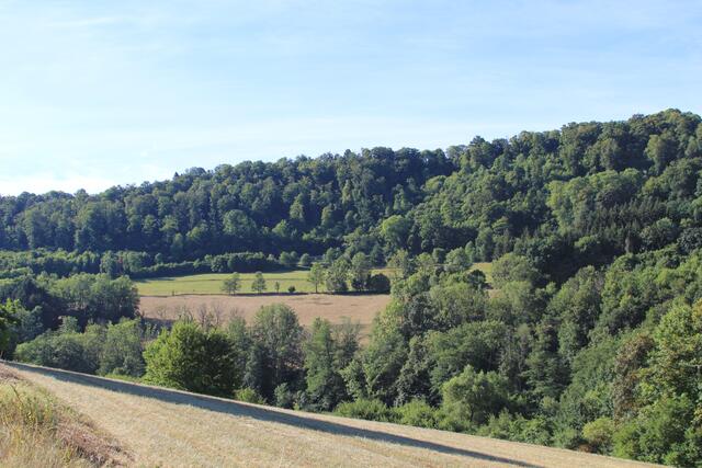 was für eine grandiose Landschaft