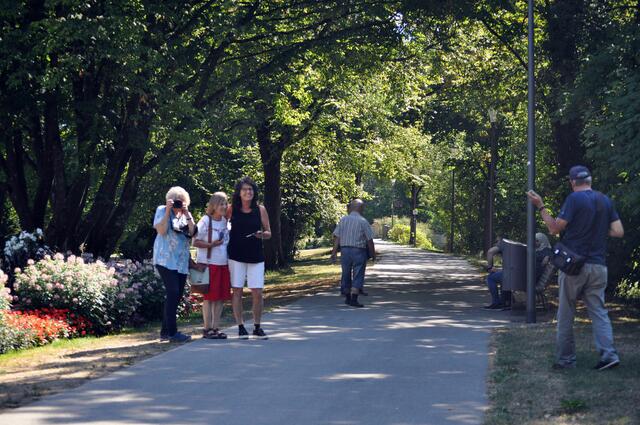 Heimatreporter (innen) on Tour | Foto: Daniela Somers