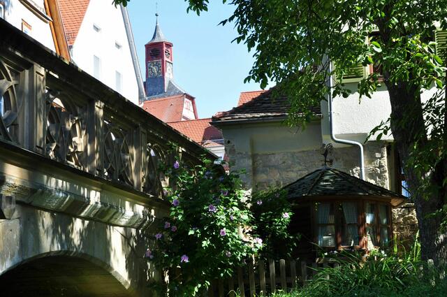 Blick auf das alte Rathaus | Foto: Daniela Somers