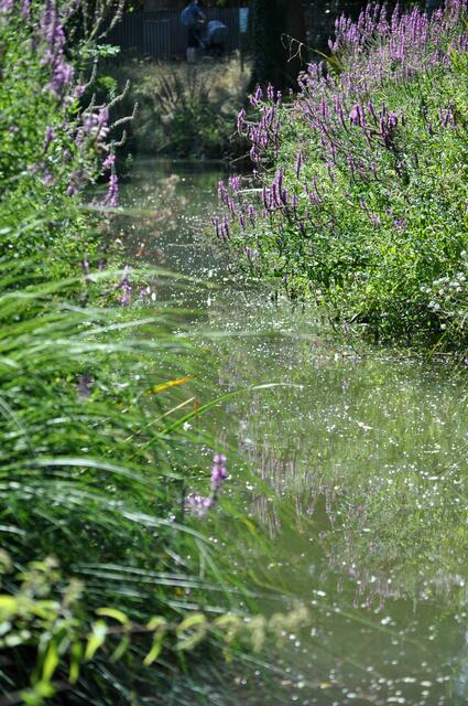 Die Ohrn läuft durch den Hofgarten | Foto: Daniela Somers
