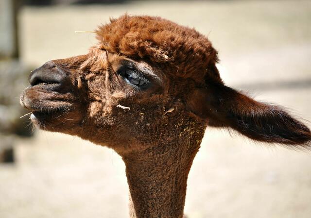 Ist was los? Gibts was zu sehen? | Foto: Daniela Somers