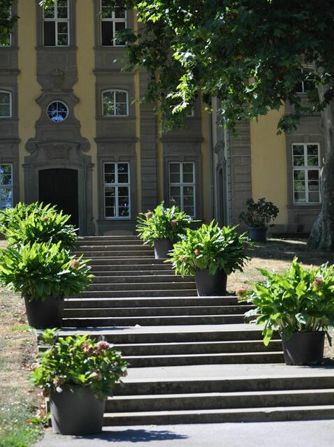 Treppe am Hoftheater | Foto: Daniela Somers