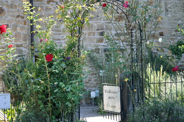 Kräutergarten an der alten Stadtmauer | Foto: Daniela Somers
