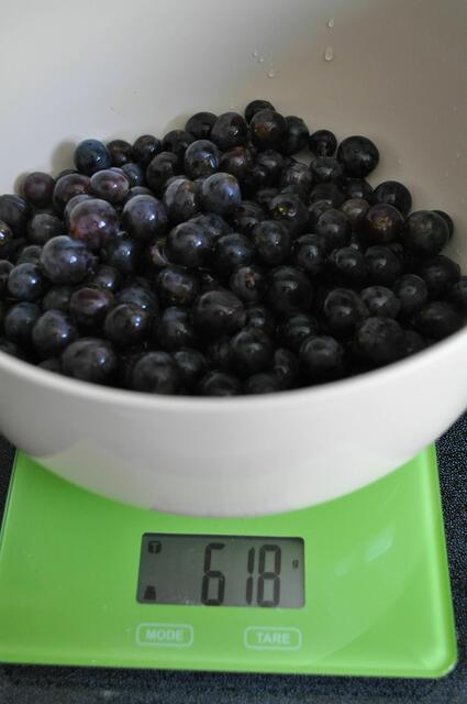 Die Trauben. Es sind Tafeltrauben, Kernlos. Aber ein paar kleine Kernchen sind doch drin. Aber egal. | Foto: Daniela Somers