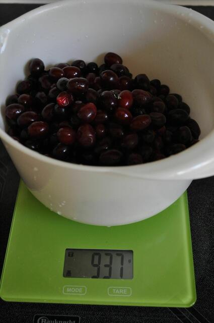 Für die kurze Sammelzeit kam doch einiges zusammen. | Foto: Daniela Somers