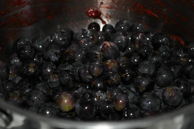 Auch die Trauben aufkochen. | Foto: Daniela Somers