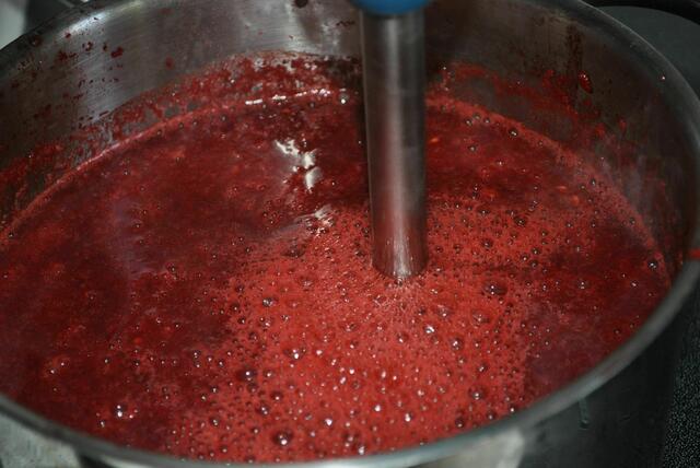 Dann darf das Kornelkirschenmus dazu und alles wird mit dem Pürierstab vermust. | Foto: Daniela Somers