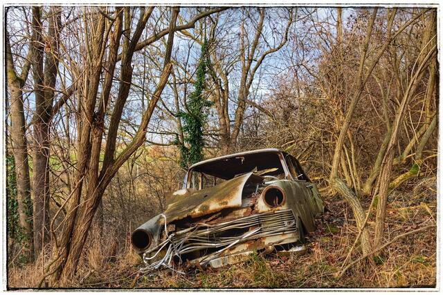 Susanne Richardson aus Lauffen ist der alte Opel Olympia aufgefallen, den sich die Natur einverleibt. | Foto: Susanne Richardson