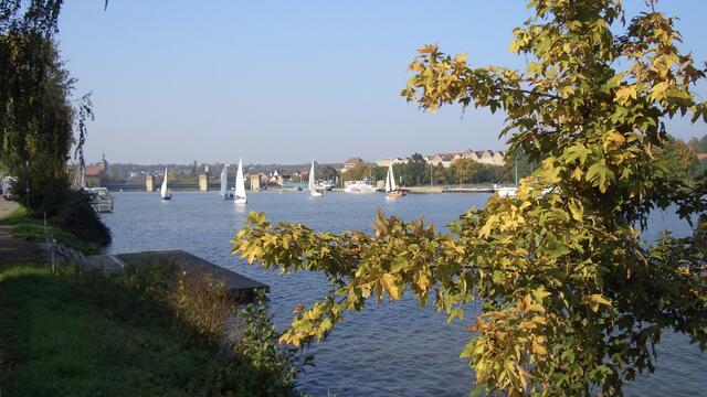 Segelrevier am Neckar in Lauffen