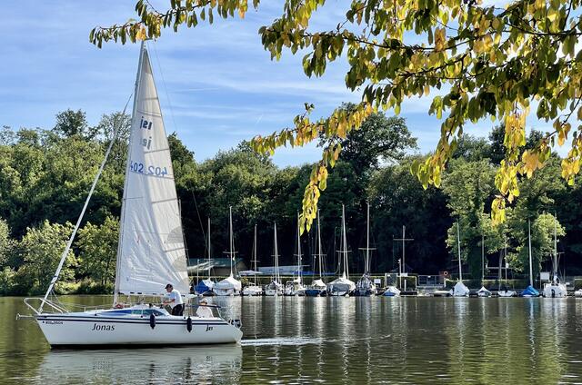 Sommerliches Lauffen. Wohnen wie im Urlaub. Segeln unter Weinbergen.