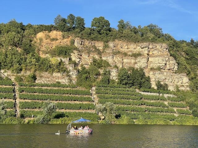 Partyboot am Lauffener Krappenfelsen.