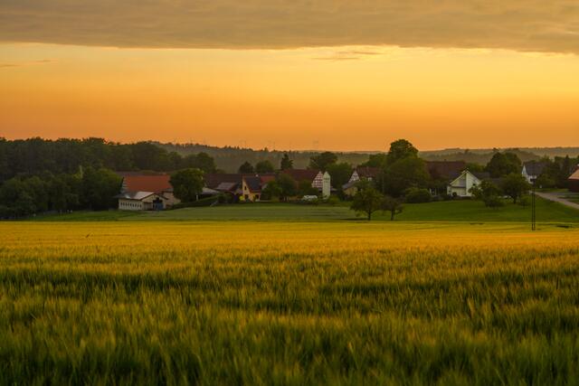 Halberg