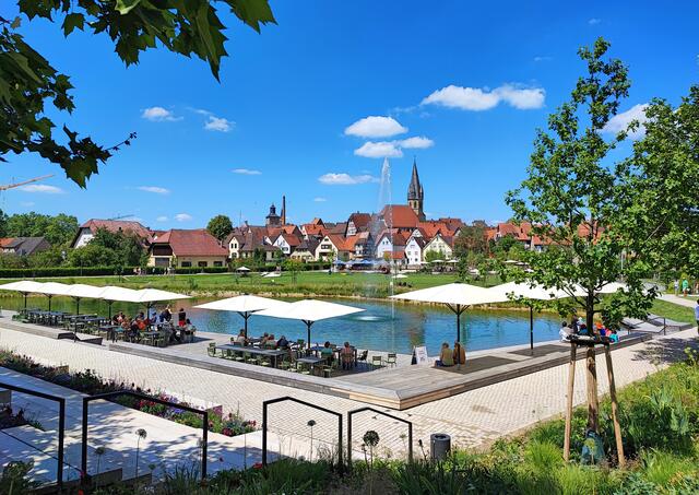 Gartenschau in Eppingen. | Foto: Volker Wagner