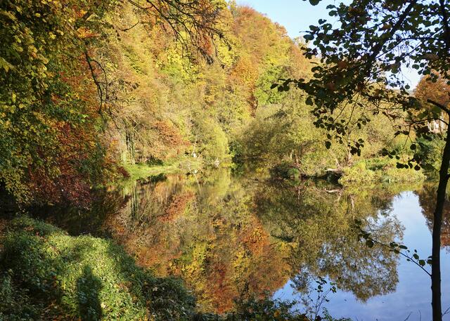 Der Kocher mit leuchtendem Herbstlaub, am historischen Klebweg in Künzelsau